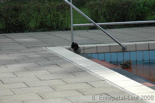 EptLauf08_272 