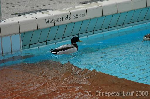 EptLauf08_273 